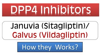 DPP4 Inhibitors  Januvia Sitagliptin Galvus Vidagliptin  Pharmacology amp Mechanism of Action [upl. by Nnaeirelav]