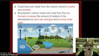 Biogeochemical Cycles [upl. by Bezanson]