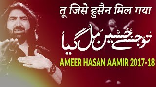 Ameer Hasan Aamir Nohay 201718  Tu Jise Hussain Mil Gya  तू जिसे हुसैन मिल गया  AKHTAR SIRSVI [upl. by Leotie]