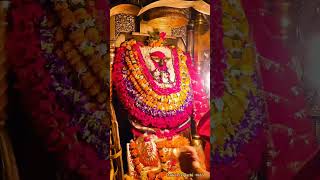 Vindhyachal dham vindhyachaldham mataraniji jaimatadi ytshorts viralvideo youtubeshortsaarti [upl. by Aixela]