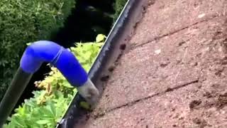 Swansea Gutter Cleaning with Skyvac [upl. by Niveek]