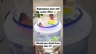 DIY Aquarium From an Old Water Filter [upl. by Akenn341]