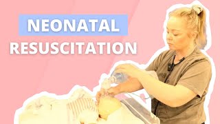 Neonatal Resuscitation NLS Algorithm [upl. by Jorey]