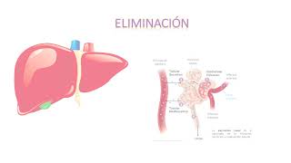 Inhibidores selectivos de la recaptacion de serotonina UNICAH Farmacologia II Dra Sidonia Suazo [upl. by Ahsinor]