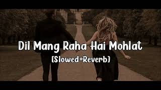 Dil mang raha hai mohlat slowedreverb  yaseer Desai song  2024newsong [upl. by Enyawad]