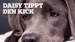 Finale Kroatien  Frankreich  Daisy tippt den Kick [upl. by Jemimah]