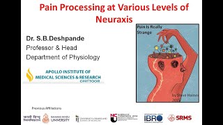 Pain Processing at Various Levels of Neuraxis by SB Deshpande [upl. by Assirual]