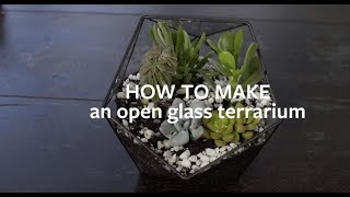 How to make an open glass terrarium  Grow at Home  Royal Horticultural Society [upl. by Aisaim]