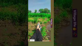 farming desibalak kisanputra priyankadinuvlogs4789 farmingyogi RichFarming [upl. by Bodrogi]