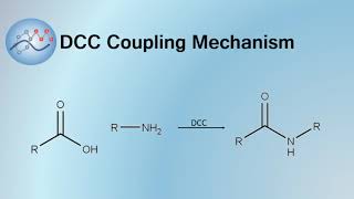 DCC Coupling Mechanism  Organic Chemistry [upl. by Rapsac]