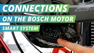 Connections on the Bosch Smart System  EBIKE24 [upl. by Glinys]