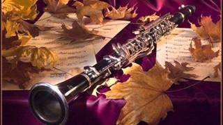 JStamitz quotConcerto per Clarinetto e Orchestraquotin Sib Maggiore Solista LLettiero [upl. by Nalced]