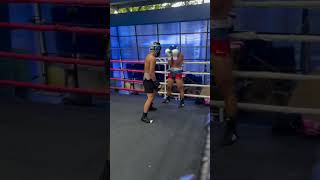 Brutal vicious knockout boxing [upl. by Aerdua]