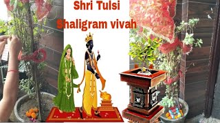 🌺Shri Tulsi Shaligram ji Vivah🌺Tulsi Pujan🙏🏻 [upl. by Ardisj399]