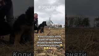 Щоб зняти повне відео завжди було купа експромтів 😆😆😆 [upl. by Ivah]