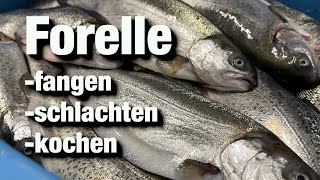 Forellen angeln  Fische Schlachten Kochen Steckerlfisch grillen [upl. by Ahtibbat]