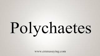 How To Say Polychaetes [upl. by Acinorahs]