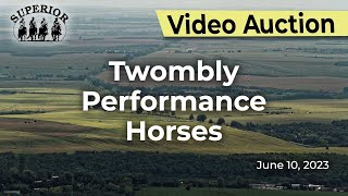 Twombly Performance Horse Sale [upl. by Odilo]