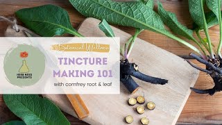 Tincture Making 101 Learn to Make a Fresh Plant Tincture of Comfrey Root Using Ratios [upl. by Nodnek]