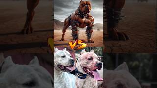 Pitbull 🇺🇸VS Dogo Argentino 🇦🇷VS Kangal 🇹🇷VS Alabai 🇹🇲🤍😬🙉 [upl. by Trammel]