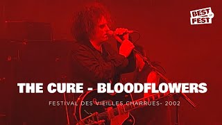 The Cure  Bloodflowers  Live Festival des Vieilles Charrues 2002 [upl. by Modern989]