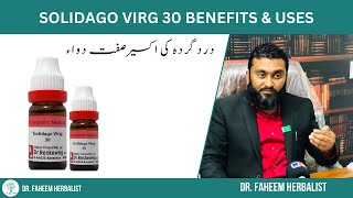 Solidago Virg 30 BENEFITS amp USES  Dr Fahim Herbalist [upl. by Maxentia]