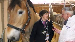 Salon International de lAgriculture 2018  La race Ardennaise [upl. by Llevaj]