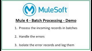 How to handle error records in Mule 4 Batch Processing [upl. by Quince11]