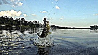 Big Bass Eat Big Swimbaits Mattlures Hardgill  Bluegill [upl. by Anirdna727]