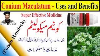 Conium 30 200 1M1000 homeopathic medicine uses in HindiUrdu  Conium Mac homeopathic benefits [upl. by Igic811]