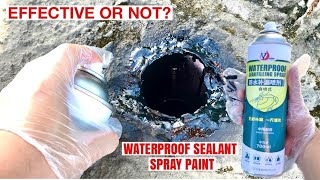 Effective or Not  Waterproof Sealant Spray Paint for Leaking RoofPipes  Review [upl. by Carrol]