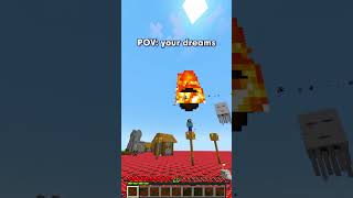 Minecraft POV your dreams shorts [upl. by Einnim]