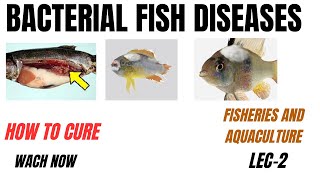 Bacterial Fish Diseases and their Control Feeding Pakistan Aquaculture handbookBSMS [upl. by Aveer457]