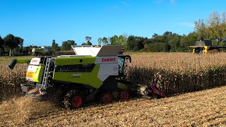 24 RANGS AU MAÏS GRAIN  LEXION 7500TT  750TT  CR880  EDT ROBILLARD [upl. by Wayolle]