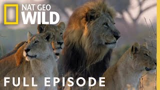 Win or Die Full Episode  Savage Kingdom [upl. by Ceil]