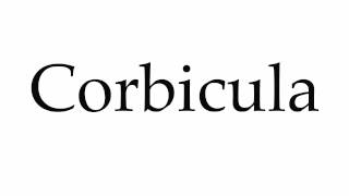 How to Pronounce Corbicula [upl. by Mallina]