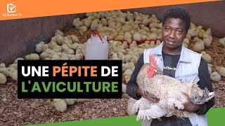 Burkina Faso  Une pépite de l’aviculture [upl. by Ariik]