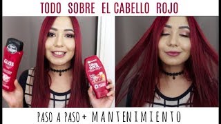 CABELLO ROJO Paso a pasomantenimientopreguntas frecuentes [upl. by Admana428]