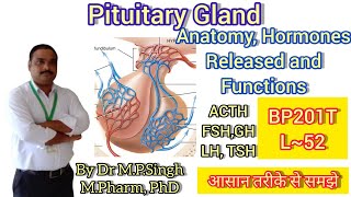 Pituitary Gland  Structure Hormones amp Functions  Human Anatomy PhysiologyII  BP201T  L52 [upl. by Dane]