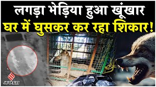 Bahraich Wolf Attack दौरे पर थे CM Yogi घर में घुस गया भेड़िया 11 साल के बच्चे को बनाया शिकार [upl. by Solita]