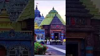 Jagatara jamidara 🫂❤️🙏jagannathbhajana statusvideo kalia jamidar ❤️🫂🙏 [upl. by Carlen]