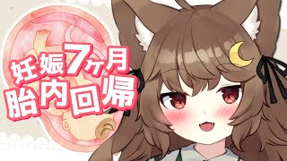 【3DIO／ASMR】胎内回帰 妊娠７ヶ月目 ママのお腹・赤ちゃんの胎動音【狼森うに／新人Vtuber】 [upl. by Kiehl]