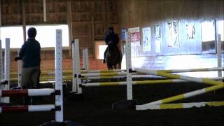 Anne Kursinski Demonstrating Proper Flatwork [upl. by Bennett522]