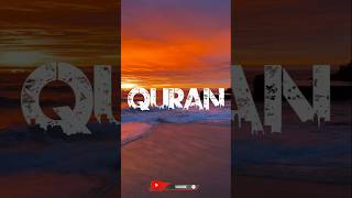 Al Quran Kareem Surah Taghabun Ayah 0104 shorts religion youtubeshorts ytshorts [upl. by Nerrot537]