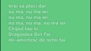 Dragostea Din Tei With Lyrics [upl. by Haraj]