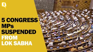 Winter Session 2023 Five Congress MPs Suspended for Unruly Behaviour in Lok Sabha  The Quint [upl. by Kuehnel93]