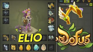 LELIOTROPE 17 PA SUR DOFUS [upl. by Aicilec]