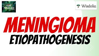 MENINGIOMA  Risk factors Pathogenesis  Morphology Variants [upl. by Deedahs]