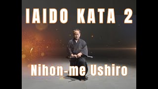 Iaido Kata 2  Nihonme Ushiro  Practice and Follow along [upl. by Amo]