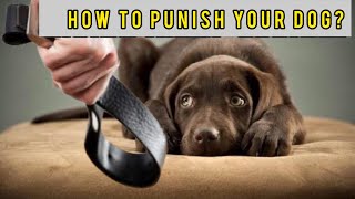 How to PUNISH your dog [upl. by Solracesoj]